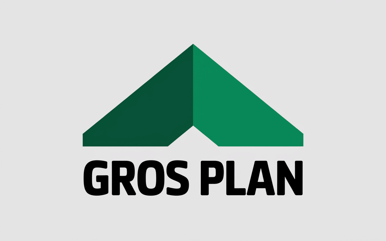 Logo leroy merlin moderne avec toit vert