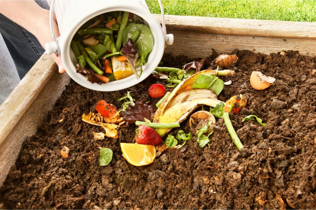 Compost